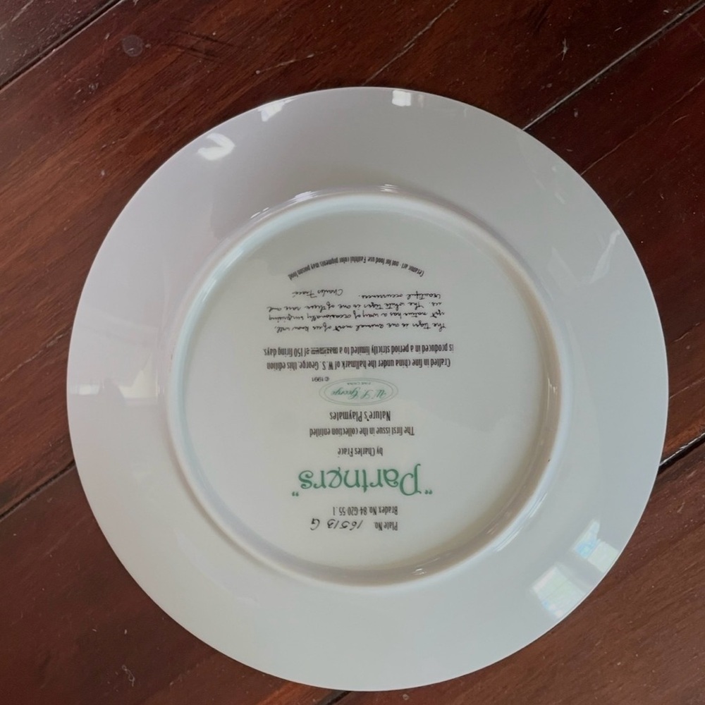 White Dinner Plate by